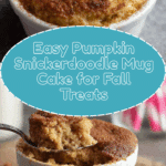 Pumpkin Snickerdoodle Mug Cake Recipe
