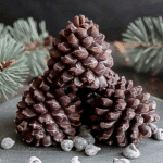 Delightfully Easy Chocolate Pine Cones Recipe for Holidays