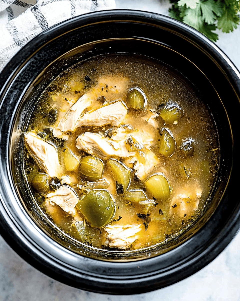 Crockpot Chicken Tomatillo Soup