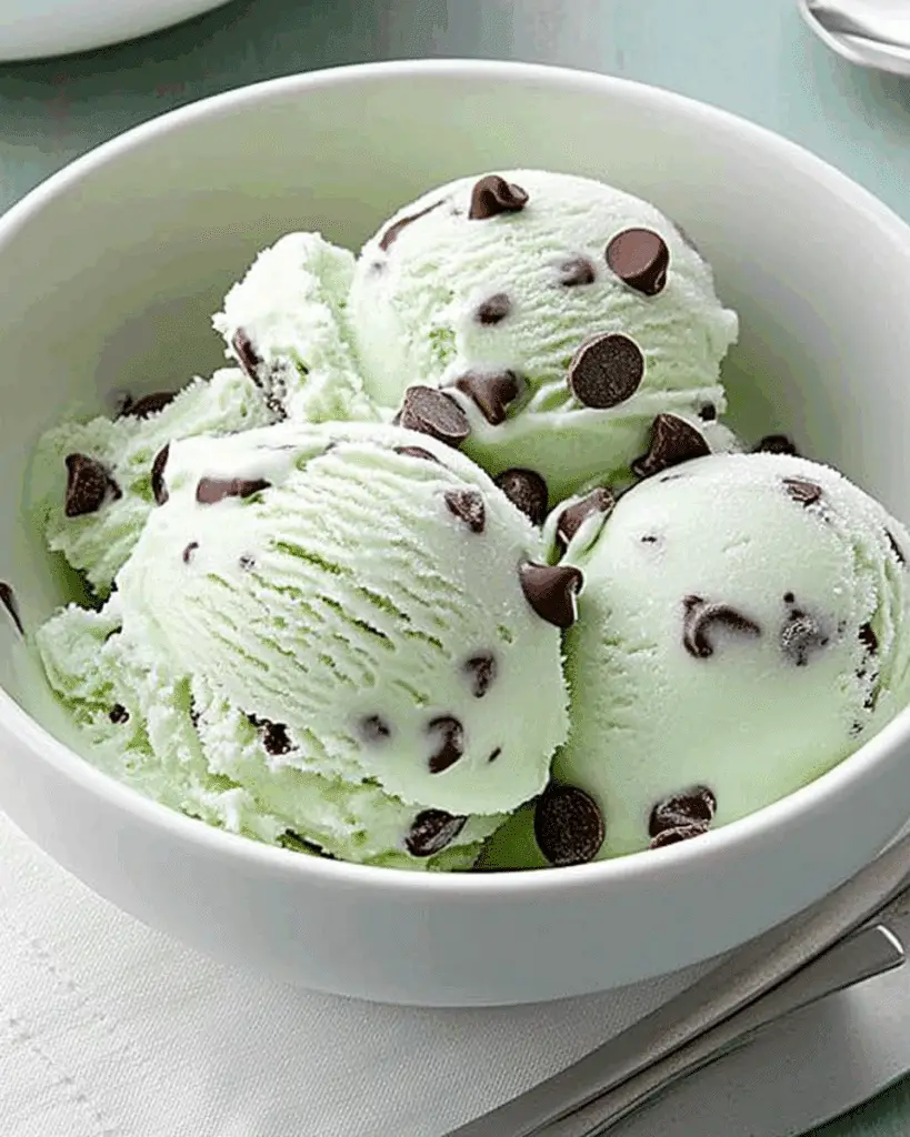 Mint Chocolate Chip Ice Cream