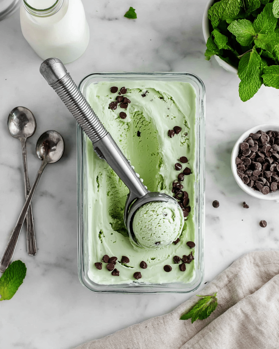 Mint Chocolate Chip Ice Cream