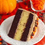 Chocolate Pumpkin Cheesecake Cake Recipe