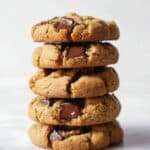 Peanut Butter Chocolate Chip Yogurt Cookies Recipe