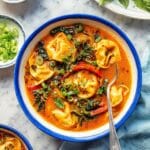 Red Curry Dumpling Soup Recipe