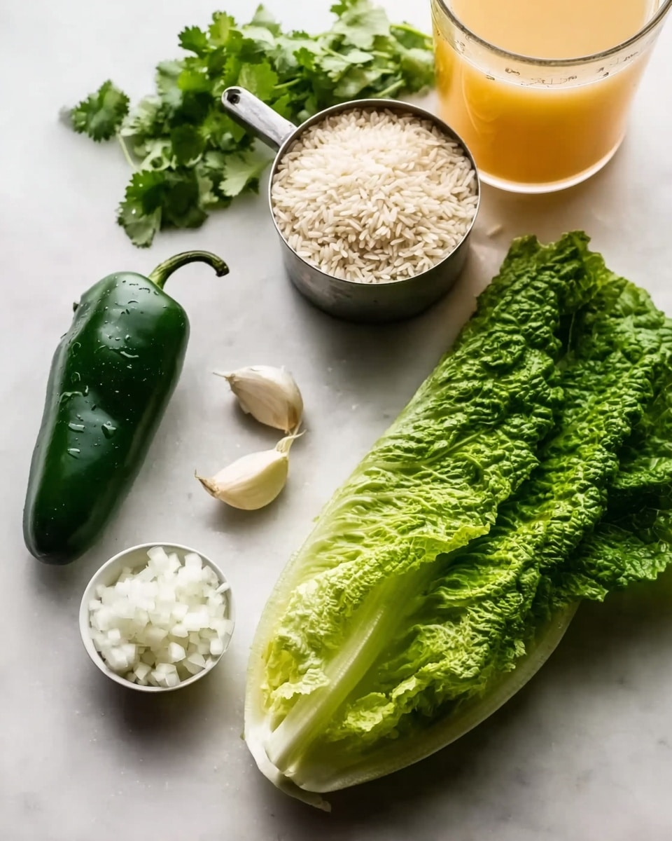 The image shows six fresh ingredients laid out on a white marbled surface: a bunch of green cilantro with slightly curled leaves, a bright green romaine lettuce leaf with visible veins, a green poblano pepper with a smooth shiny surface, a small white bowl filled with finely chopped white onion, two cloves of garlic with a slightly rough texture, a metal measuring cup filled with uncooked white rice grains, and a glass container with an orange-yellow liquid in the background. The items are arranged loosely with space around them, emphasizing their textures and colors. photo taken with an iphone --ar 4:5 --v 7