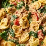 One Pan Tortellini with Chicken Recipe