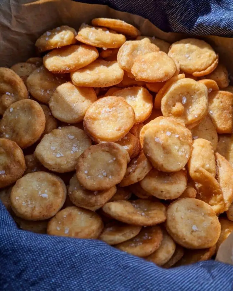 Sourdough Goldfish Crackers with Cheddar Recipe