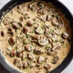 Easy One Pot Mushroom Stroganoff Recipe