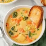 Creamy Vegetable Soup Recipe