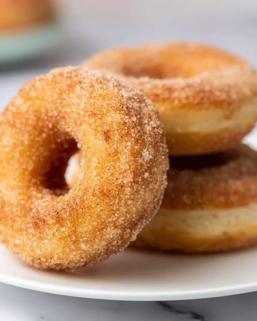 Cinnamon Sugar Vegan Donuts Recipe