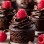 Chocolate Mini Cakes with Fudge Frosting Recipe