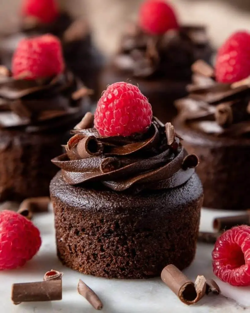 Chocolate Mini Cakes with Fudge Frosting Recipe