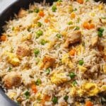 Garlic Chicken Fried Rice Recipe | Easy Chicken Fried Rice Recipe
