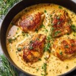 Creamy Mustard Chicken Recipe