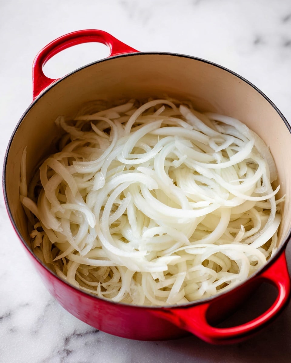 A red pot filled with a single layer of thinly sliced white onions, showing soft curves and translucent texture, resting inside the tan interior of the pot. The pot is placed on a white marbled surface, with the red handle visible in the foreground and background. The onions are spread evenly across the bottom of the pot, appearing fresh and raw. photo taken with an iphone --ar 4:5 --v 7