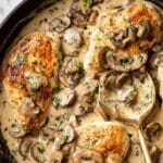 Creamy Mushroom Chicken Recipe