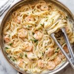 Shrimp Alfredo Recipe